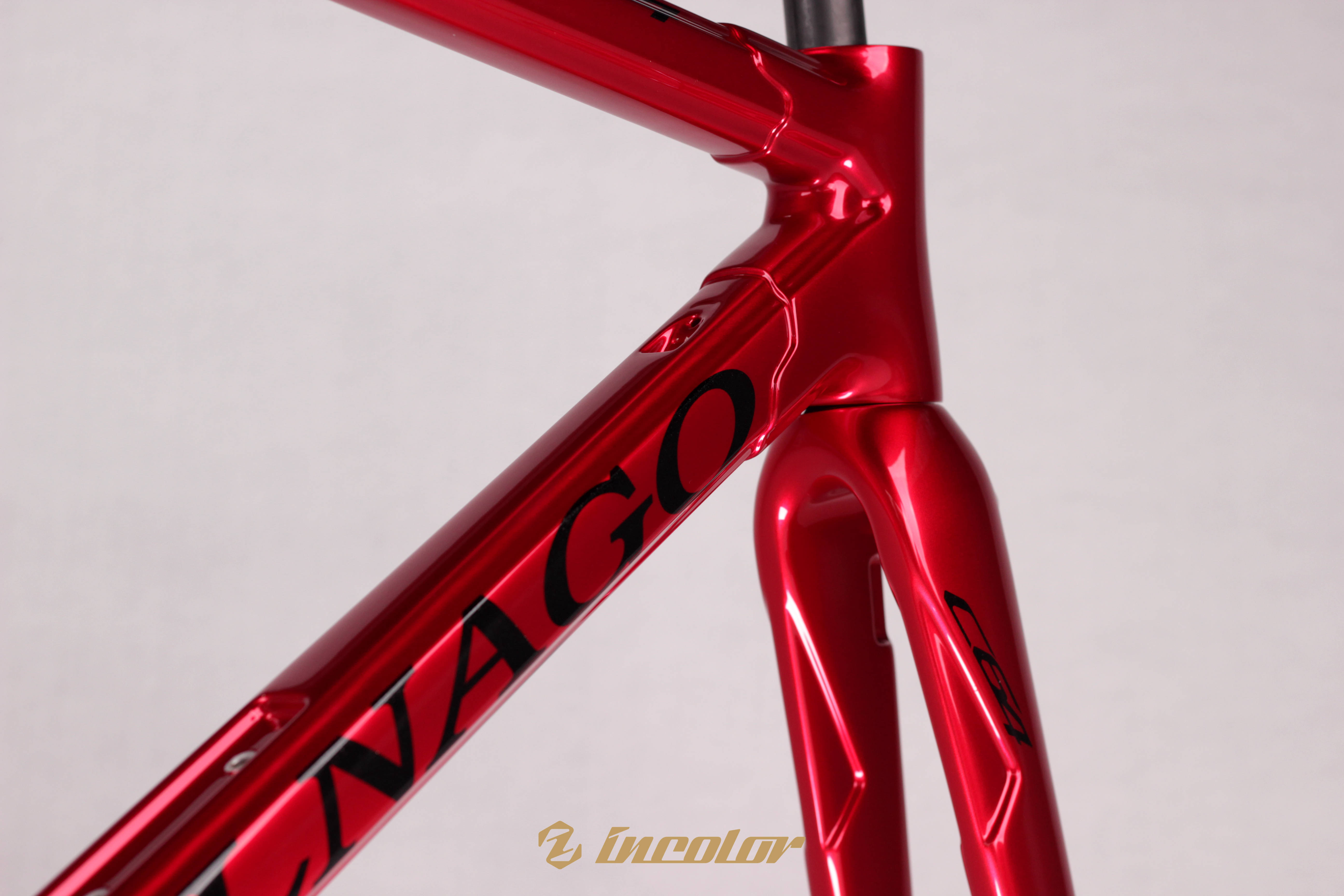 colnagologo图片